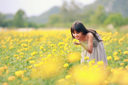 黄色的花场