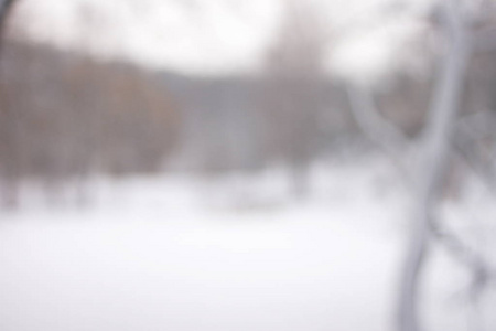 模糊的背景森林雪冬