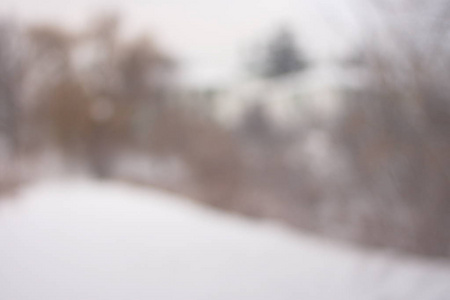 模糊的背景森林雪冬