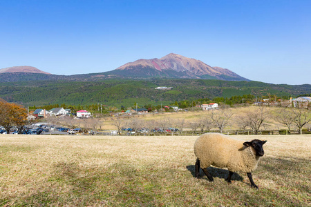 山雾岛和日本农场