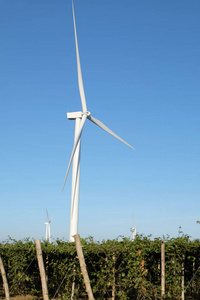 在泰国的风力发电机组