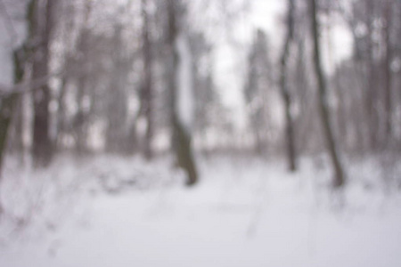 背景在冬天森林, 纹理
