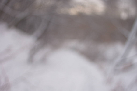 模糊的背景森林雪冬