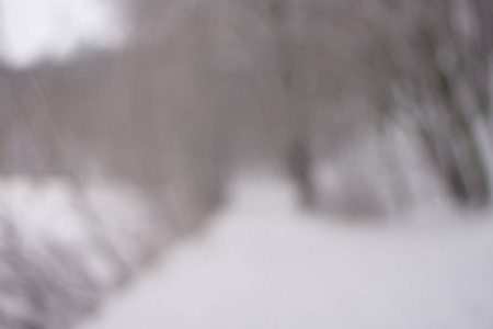 模糊的背景森林雪冬