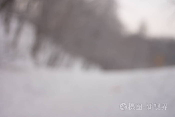 模糊的背景森林雪冬