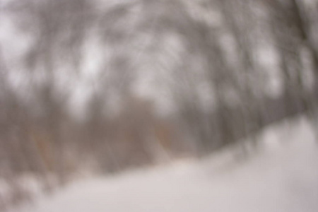 模糊的背景森林雪冬