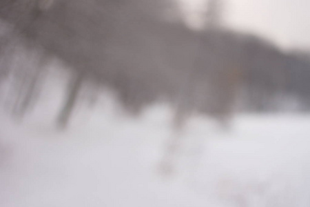 模糊的背景森林雪冬