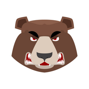 熊生气的表情.灰熊的积极情感.面对野生动物我照片