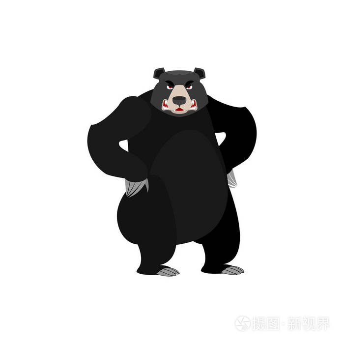 baribal愤怒的表情美洲黑熊邪恶的情绪隔离