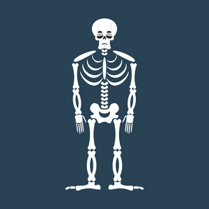 面部骨骼骨架的悲伤表情符号.头骨的情感悲伤.人体骨骼照片