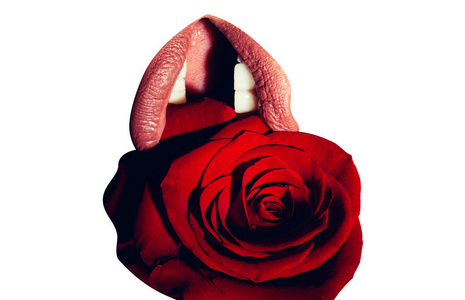 嘴唇女性粉色口红与红色的玫瑰关闭，孤立。美丽和受欢迎的礼物，在情人节那天，玫瑰和爱的告白或婚姻提案 婚礼 激情和感官