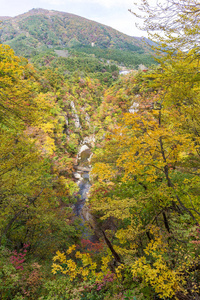 鸣子峡谷在秋天的季节在日本