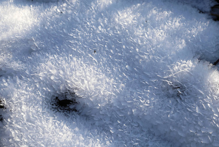 雪的水晶在阳光下闪闪发光