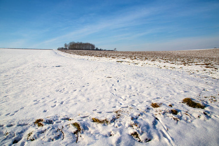 冬季景观与田野