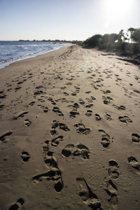脚打印在海滩上