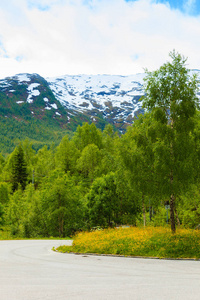 挪威山夏日风景