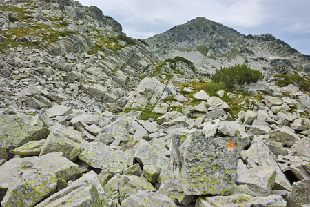 岩石的小山的 Dzhangal 峰值，皮林山