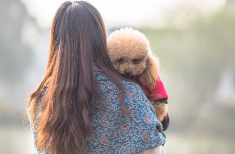 其女大师在公园玩的玩具贵宾犬