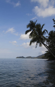 美丽的海边风景