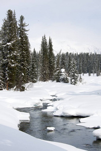 在冬天冰自由雪界山河