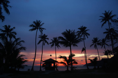 椰树海滩日出图片