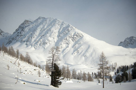 美丽的冬天风景与雪覆盖的树木