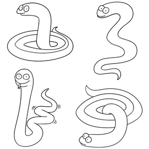 向量集的蛇