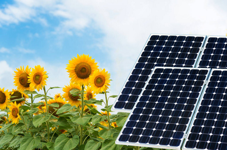 照片拼贴的太阳能电池板的作物背景可持续资源的概念