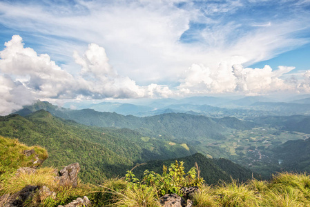 富志发森林公园景观