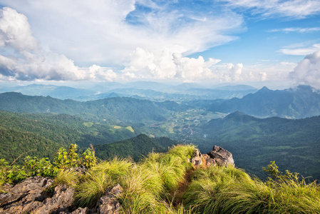 富志发森林公园景观