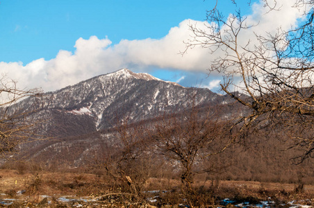 下雪的冬天大高加索山脉的亮丽的风景线。晴朗的天气，树云阿塞拜疆性质的场