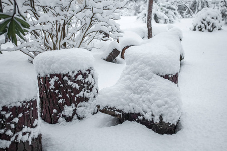 堆的锯木原木覆盖着雪