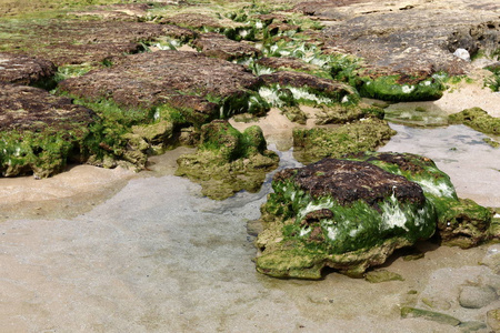 地中海沿岸的岩石海岸