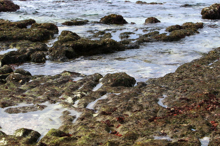 地中海沿岸的岩石海岸