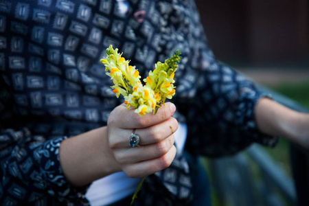手中的花朵图片