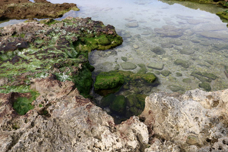 地中海沿岸的岩石海岸