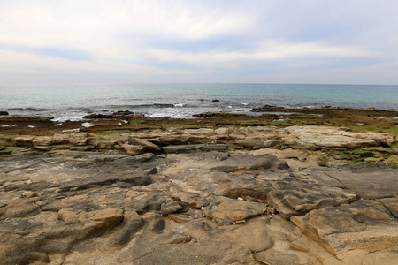 地中海沿岸的岩石海岸