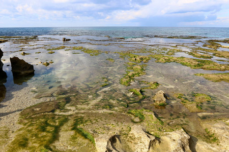 地中海沿岸的岩石海岸