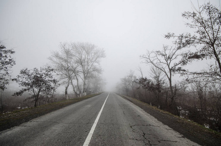 冬季景观树木剪影生长附近一条道路。周围，周围的雾。舍基，阿塞拜疆通往