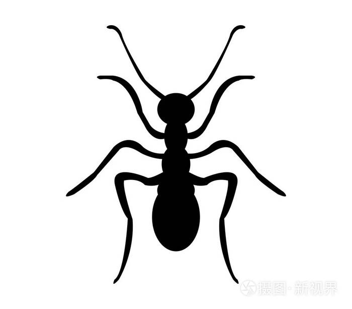 白色背景上的插图的剪影蚂蚁