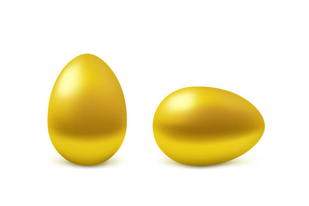 两个向量现实金蛋