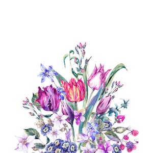 复古花朵水彩画花束，紫色郁金香