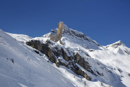 图克斯 Ferner 冰川在奥地利 2015