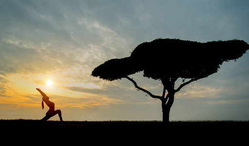 独自在夕阳的背景树的剪影瑜伽年轻女子