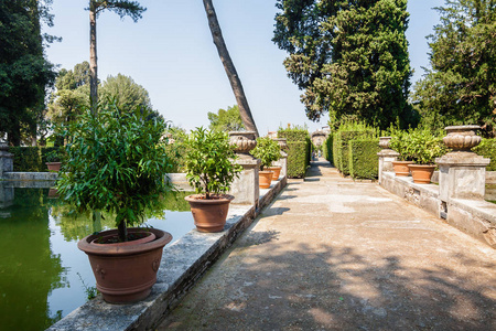 各种植物和花园的别墅埃斯特，蒂沃利在罗马，意大利拉齐奥大区附近的池塘