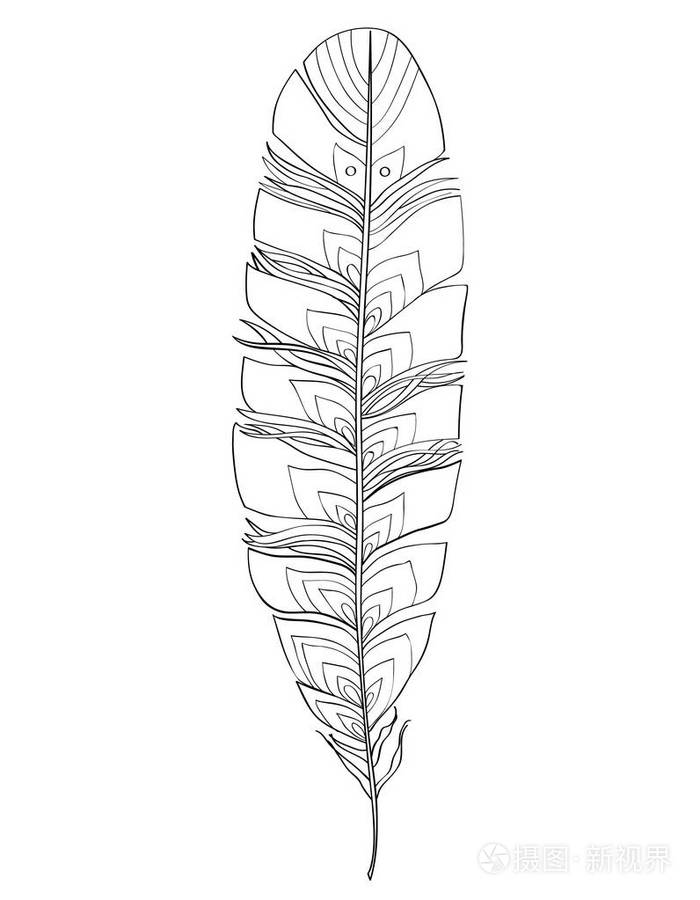 美丽的黑色和白色羽毛插画-正版商用图片0x7jl6-摄图新视界