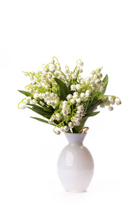 五月花春白色花束图片