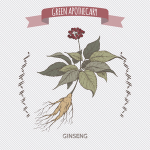 简单素描画图片