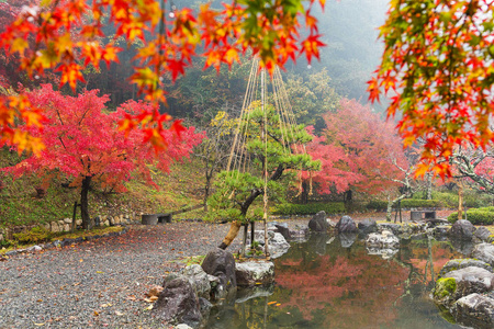 日本花园在秋天的季节