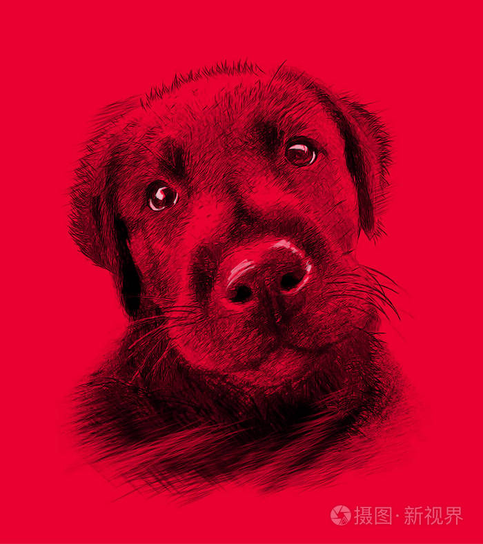 红色背景的狗绘制素描样式的插图